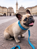 Guinzaglio per cane